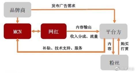 超九成网红都有签约MCN机构_“寒假作业丢巴黎”系摆拍引流 造谣者背后的MCN机构面临何种处罚？