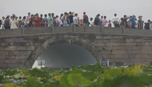 假期出游看风景变成看人头_假期出游看风景变成看人头，为何依然要出发？