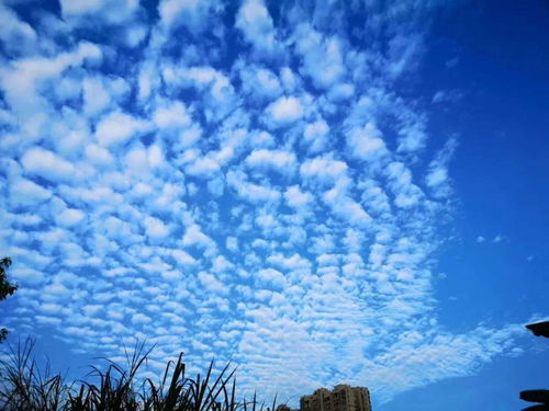 下过雨的夏天傍晚美呆了_斜阳暮云，夏日傍晚的嘉定美出了天际→