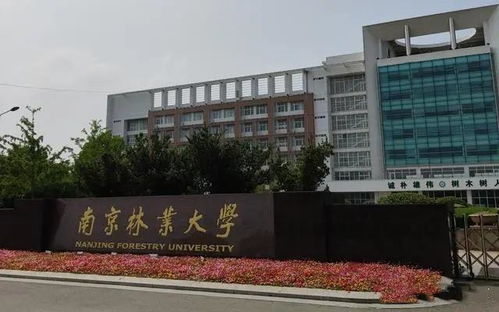 南京林业大学宋凯_急功近利的大学考核机制出不了大师，只会出宋凯一样的悲剧