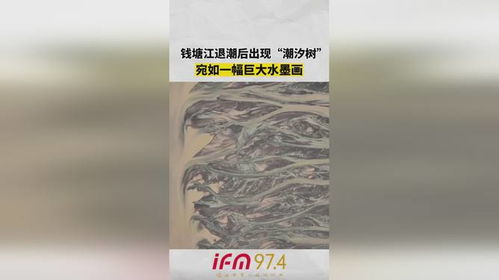 钱塘江潮汐树宛如山水画_真鬼斧神工，“潮汐树”来了，钱塘江杭州下沙段这一幕美成水墨画