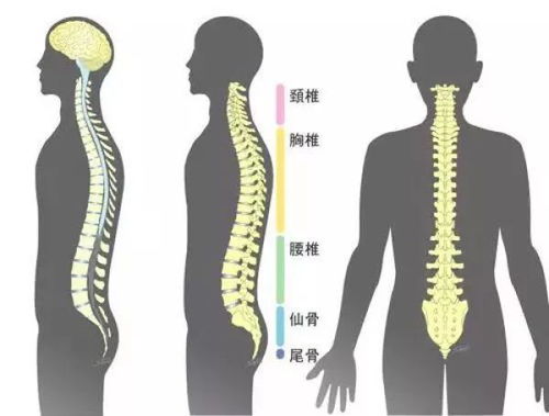 3个动作自测脊柱健康_3个小动作自测肩颈健康