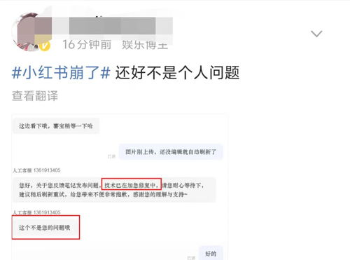 小红书治理非法领养违规内容_小红书：平台禁止一切“规避正规法律程序送养或领养孩子“的内容