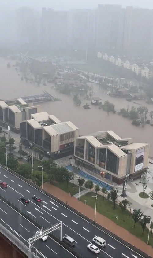 长沙1小时下了54个西湖_长沙暴雨1小时下了54个西湖：降水量达65.1毫米