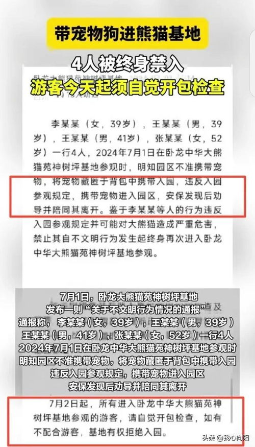 官方通报4人被终身禁入熊猫基地_官方通报：李某某等4人，终身禁入！