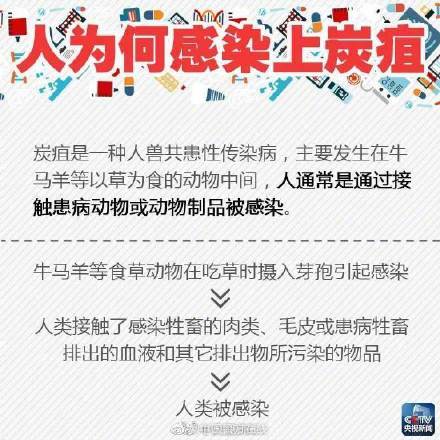 官方通报山东一养殖场发现炭疽病例_官方通报山东一养殖场发现炭疽病例