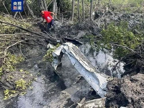 泰小型飞机坠毁搜寻仍在持续_泰国北柳府飞机失事地点未发现生命迹象 搜寻工作仍在进行