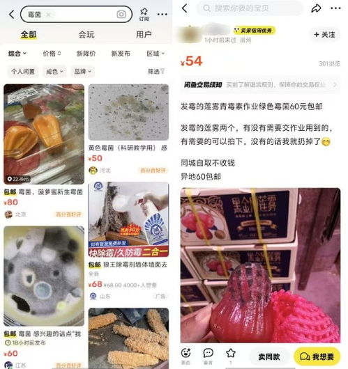 多闲鱼用户挂售霉菌引研究生破防_闲鱼用户挂售霉菌引研究生破防，客服表示：建议举报，平台会进行核实