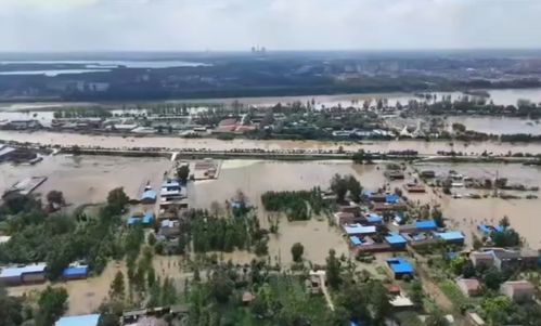 河南永城多处被淹市民发声_河南永城多处被淹，市民称积水最深时2米多，水利局：再有两三天将回落至正常水位