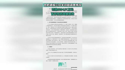 合肥通报三只羊问题调查情况_央媒严查！三只羊账号全停播，知情人曝内幕，最慌的应是合肥官方