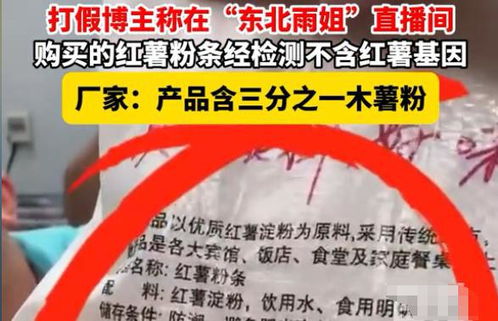 东北雨姐粉条调查结果_罚款165万元！网红“东北雨姐”粉条调查结果公布