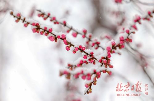 春花焰第一集就亲了_《春花厌》刘学义吴谨言 : 吻戏张力爆棚