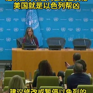 联合国官员称美国是以色列帮凶_联合国官员：美国是以色列在加沙所作所为的“帮凶”