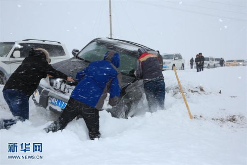 #阿勒泰暴雪#新疆阿勒泰多地暴雪 喀纳斯景区实行道路交通管制