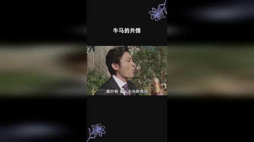 活人共情吴秀雅牛马共情郑昊_《不讨好的勇气》：吴秀雅和郑昊分手，不想成为任何人的附属品