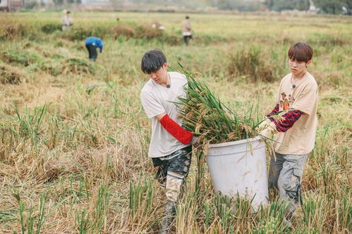 种地吧第三季少人_《种地吧3》大减员，十个勤天“应到10人，实到5.5人”