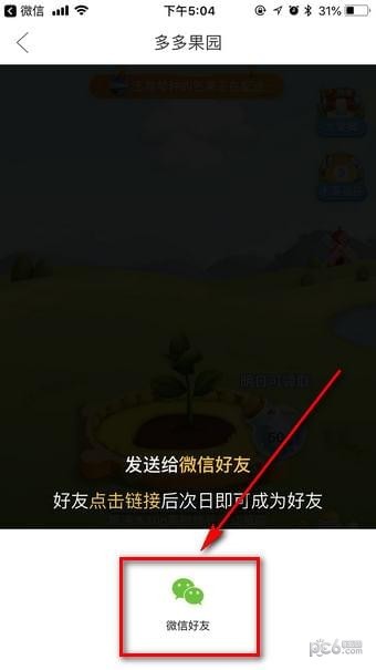 多多果园怎么添加好友 拼多多果园怎么加好友教程