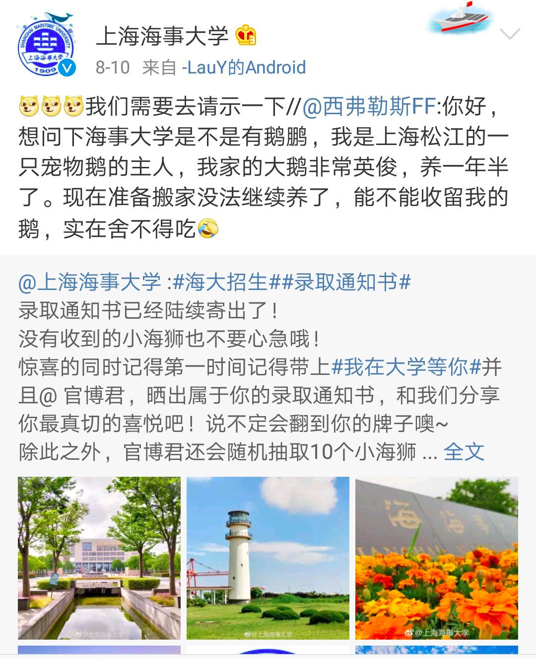 上海海事大学“录取”了一只鹅