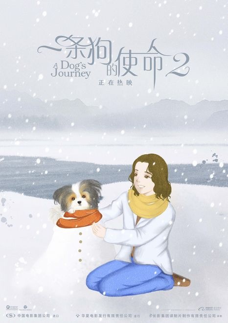  5月最强《一条狗的使命2》？萌犬暖人心一部治愈人心情的影视