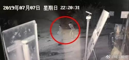 杭州失联女童市民卡被发现，两租客自杀身亡其背后原因是什么？最新!象山县关于淳安女童失联情况通报!