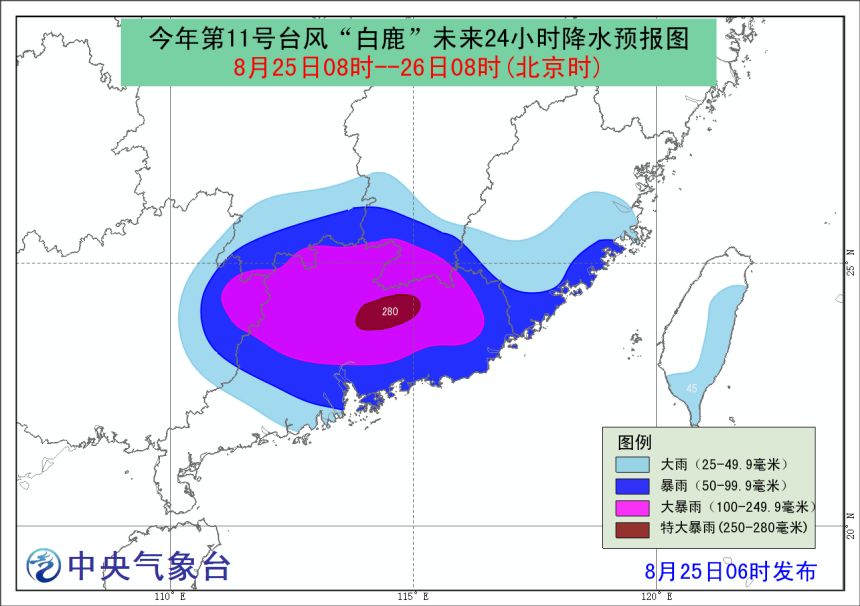 “白鹿”最新动态