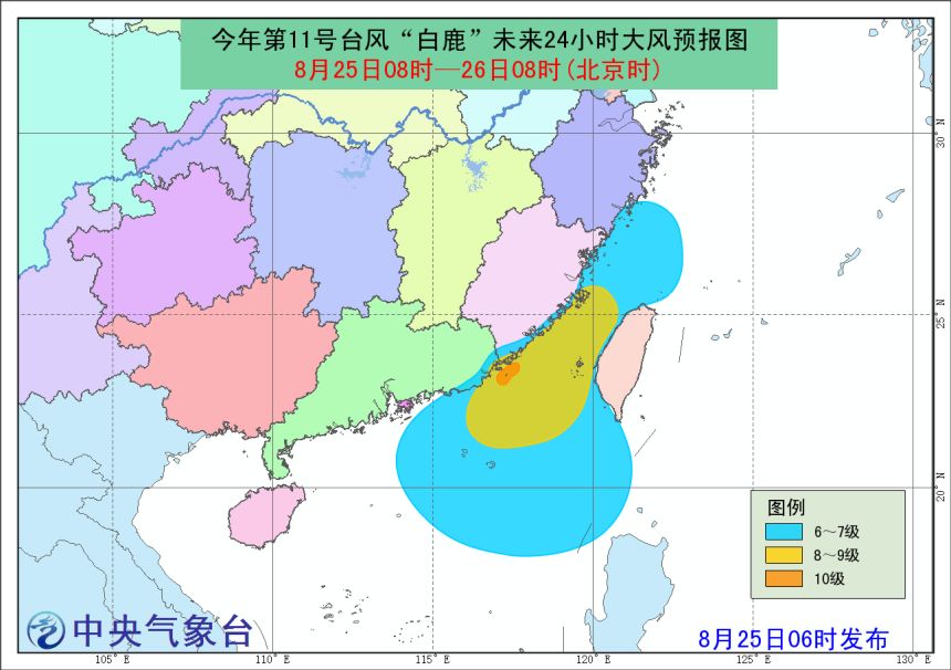 “白鹿”最新动态