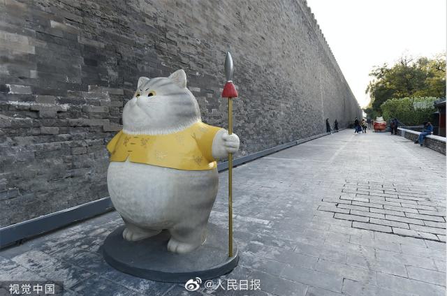 故宫的巨型御猫长什么样?萌翻众人的故宫巨型御猫组图