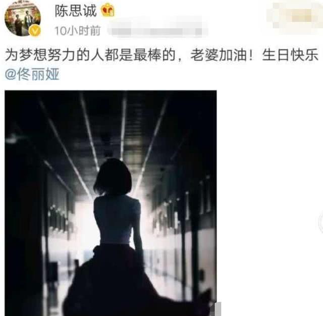 佟丽娅儿子正脸罕见曝光 佟丽娅儿子正脸像爸爸陈思诚