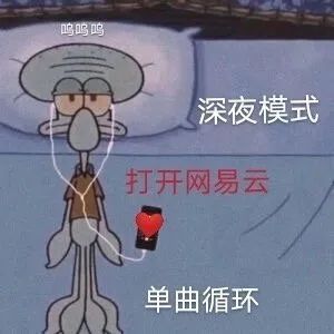 章鱼哥：打开深夜模式的网易云音乐，单曲循环