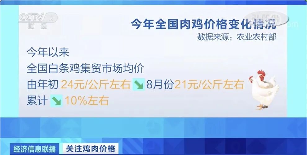 全国鸡肉3年首降，养一只鸡赔10元！