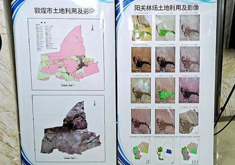 中央督察组赴敦煌调查防护林被伐什么情况？敦煌防护林被伐事件始末详情