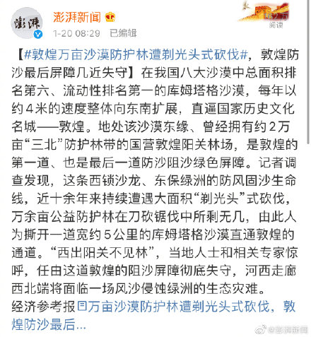 敦煌防护林被毁调查结果公布 敦煌防护林被毁事件始末回顾