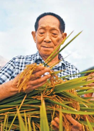 雕像前满是鲜花