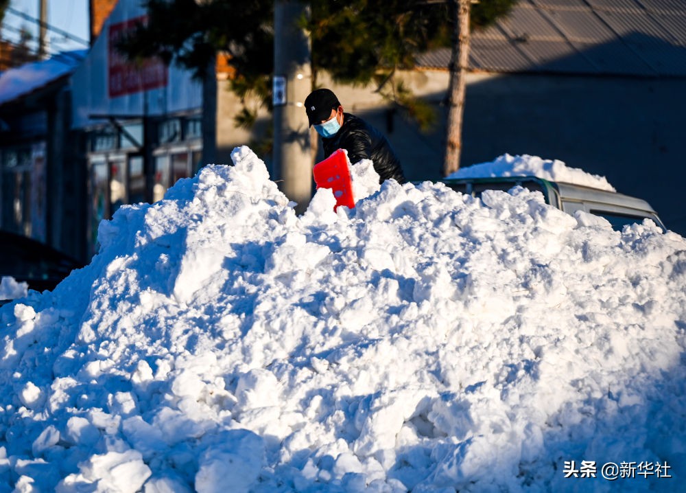 直击东部雪情 东北极端暴雪中东北虎会受灾吗