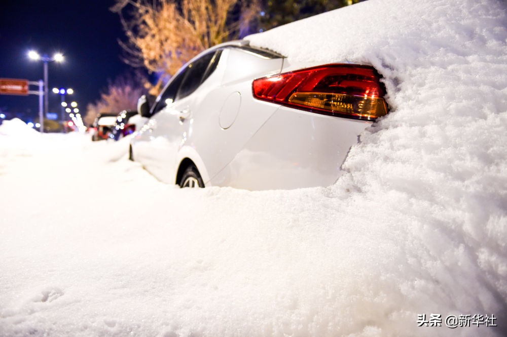 直击东部雪情 东北极端暴雪中东北虎会受灾吗