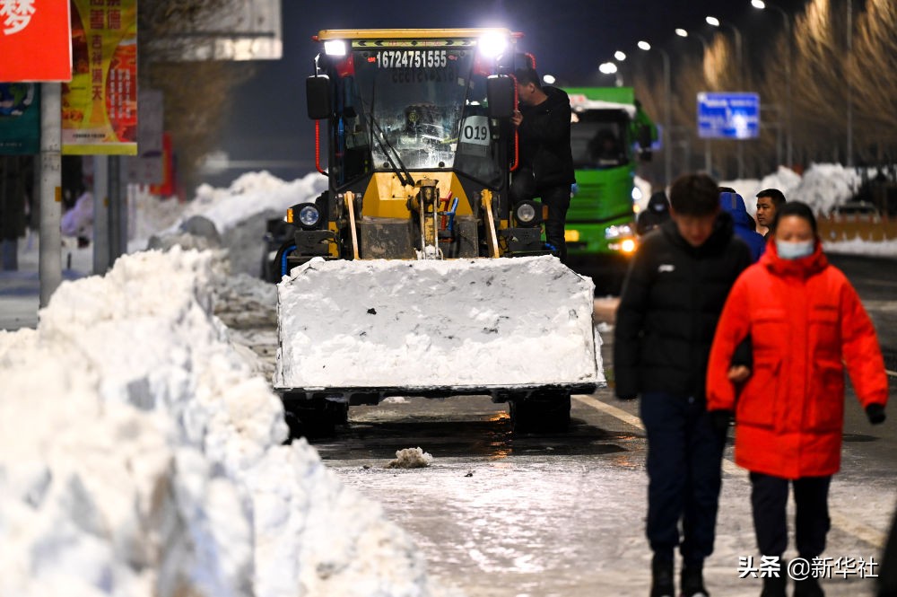 直击东部雪情 东北极端暴雪中东北虎会受灾吗