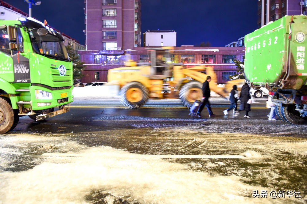 直击东部雪情 东北极端暴雪中东北虎会受灾吗