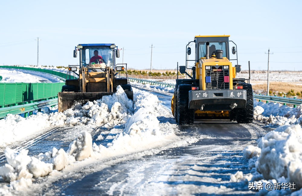 直击东部雪情 东北极端暴雪中东北虎会受灾吗