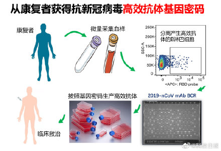 我国新冠特效药候选种子三期临床已揭盲 我国新冠特效药有望12月底前附条件上市