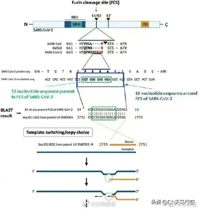 研究证实新冠病毒是美国公司制造 美国在全球共有336个生物实验室