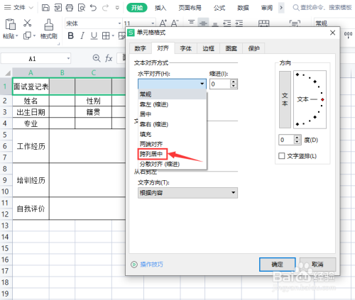 Excel中如何制作表头