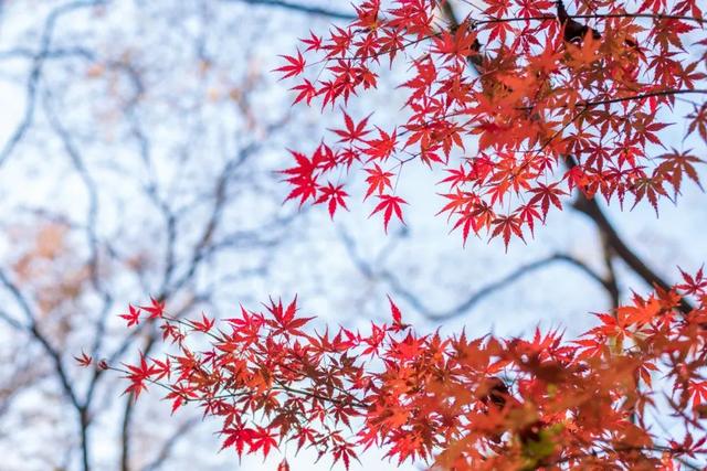 处暑诗句 处暑节气古诗10首 描写处暑节气的优美句子