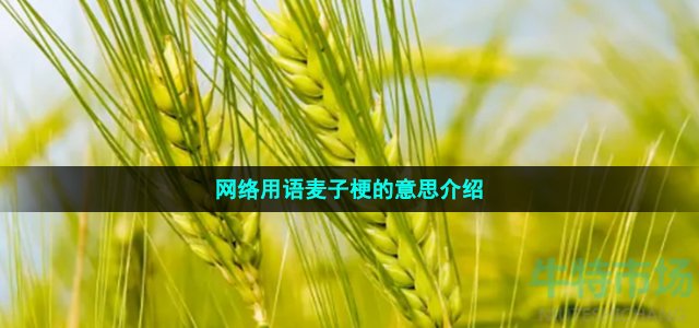 网络用语麦子梗的意思介绍