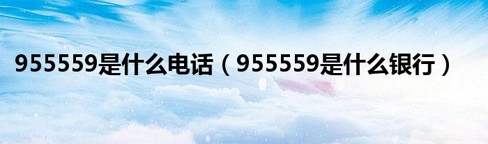 95559是哪个银行的电话_40095559是哪个银行的电话？