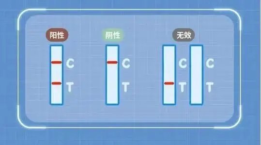 抗原T区格外红 抗原T区格外红意味着什么 抗原t区特别红