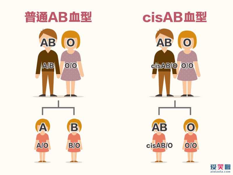 cisAB血型是什么意思？