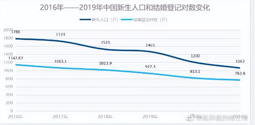 2022出生人口跌破800万