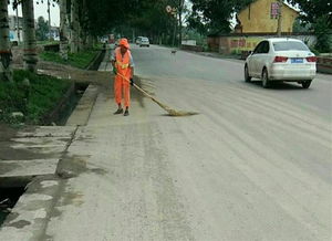乡村道路清扫