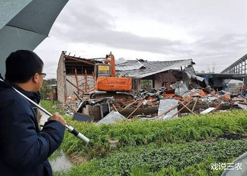 制止耕地非农化