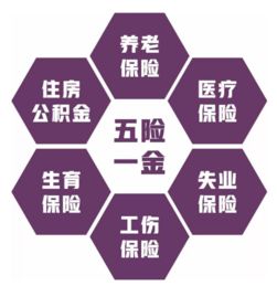 何为五险一金